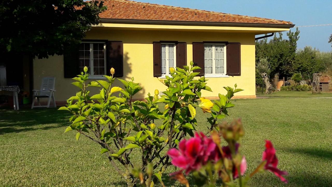 Villa Mimosa Tropea Рикаді Екстер'єр фото